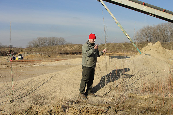 Sampling of native poplars has started